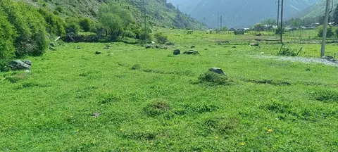 Участок в Кабардино-Балкария, Эльбрусский район, с. Тегенекли  (17.0 ...