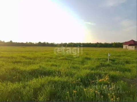 Участок в Ростовская область, Аксайский район, Рассветовское с/пос, ...