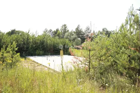 Дом в Белгородская область, Белгородский район, с. Стрелецкое ул. ...