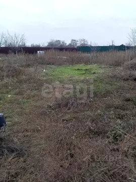Участок в Саратовская область, Энгельсский район, Терновское ...