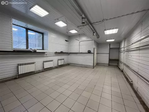 Помещение свободного назначения (100 м)