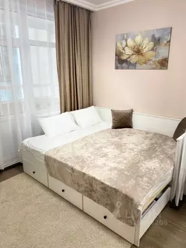 Студия Санкт-Петербург аллея Арцеуловская, 23к1 (25.0 м)