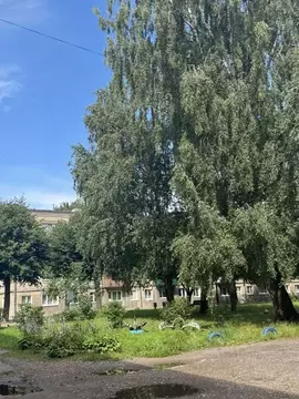 1-к кв. Калининградская область, Советск ул. Гончарова, 5 (42.9 м)