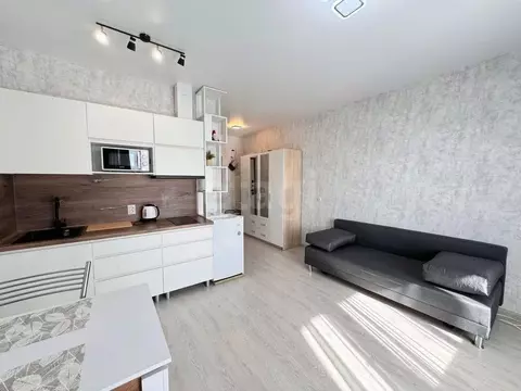 Студия Новосибирская область, Новосибирск Бронная ул., 22 (24.3 м)