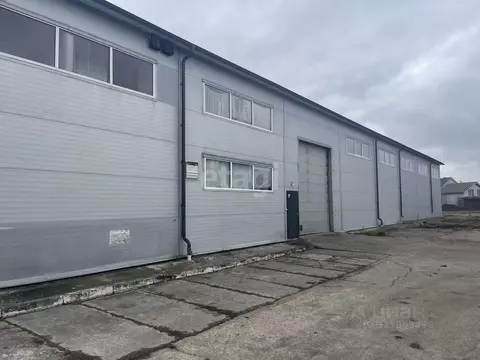 Помещение свободного назначения в Калининградская область, Гурьевский ...