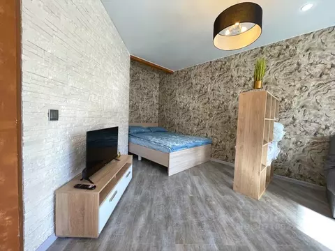 1-к кв. Псковская область, Псковский район, Завеличенская волость, д. ...