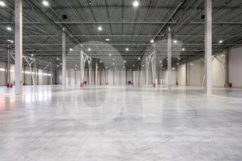 Склад в Московская область, Красногорск городской округ, Отрадное пгт ...