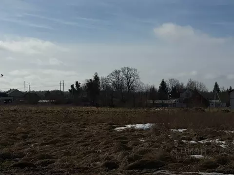 Участок в Калининградская область, Гурьевский муниципальный округ, ...