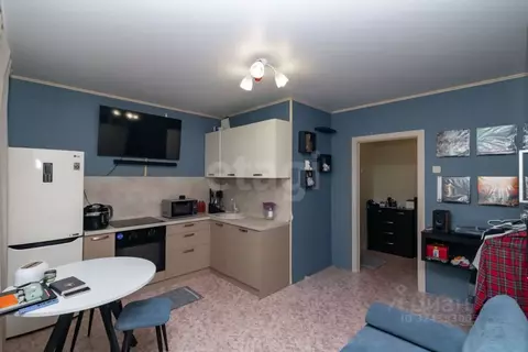 Студия Красноярский край, Красноярск Караульная ул., 82 (23.8 м)