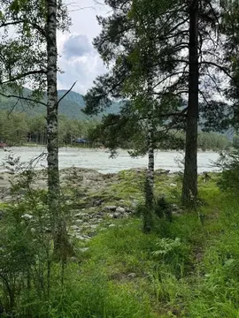 Участок в Алтай, Чемальский район, Аносинское с/пос  (47.0 сот.)