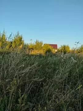 Участок в Челябинская область, Сосновский муниципальный округ, д. ...