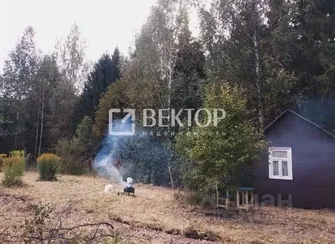 Дом в Ивановская область, Ивановский район, Беляницкое с/пос, Витязь ...