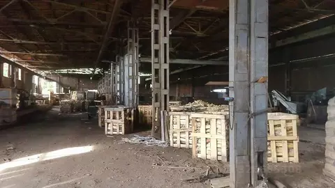 Помещение свободного назначения в Ленинградская область, Приозерский ...