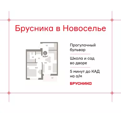 1-комнатная квартира: городской посёлок Новоселье, ЖК Брусника (43.78 ...