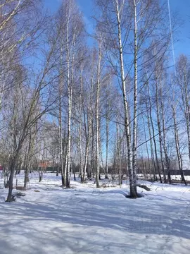 Участок в Московская область, Раменский муниципальный округ, Обухово ...