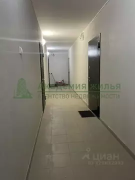 Студия Саратовская область, Саратов ул. Стрельбище, 20 (29.4 м)