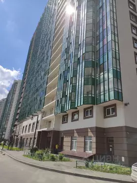 Студия Ленинградская область, Мурино Всеволожский район, бул. ...