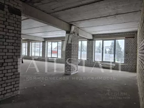 Помещение свободного назначения в Татарстан, Казань ул. Сабит, 6А (220 ...