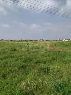 Участок в Амурская область, Благовещенский район, с. Волково Школьный ...