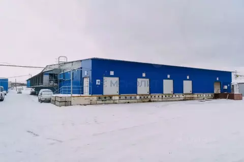 Склад в Нижегородская область, Нижний Новгород Торфяная ул. (230 м)