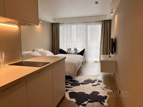 Студия Санкт-Петербург ул. Салова, 61 (29.0 м)