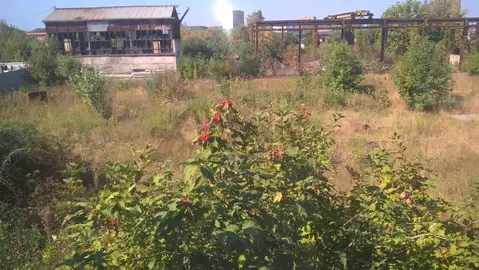 Участок в Северная Осетия, Владикавказ Московская ул., 8 (50.0 сот.)