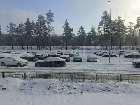 1-к кв. Воронежская область, Воронеж ул. Серафима Саровского, 179к1 ...