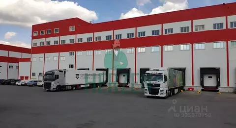 Склад в Московская область, Раменский муниципальный округ, с. ...