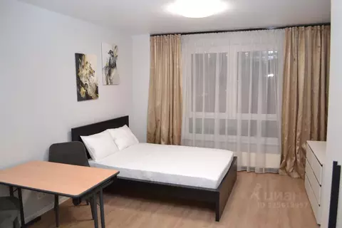 Студия Москва ул. Михайлова, 30Ак2 (24.0 м)