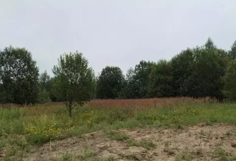 Участок в Московская область, Дмитровский муниципальный округ, с. ...