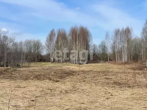 Участок в Костромская область, Нерехтский район, Воскресенское с/пос, ...