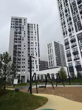 Студия Москва просп. Прокшинский, 11 (22.4 м)