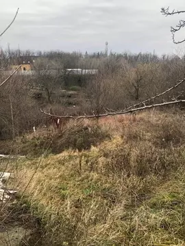 Участок в Ростовская область, Новочеркасск № 5А садовое товарищество, ...