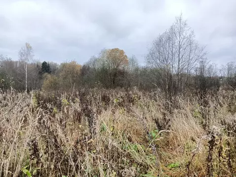 Участок в Московская область, Клин городской округ, д. Нагорное  ...