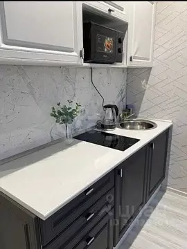 Студия Новосибирская область, Новосибирск Сухарная ул., 107/1 (23.0 м)