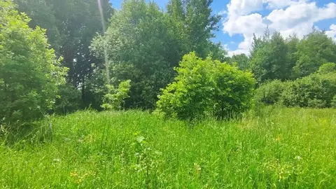 Участок в Московская область, Раменский муниципальный округ, д. ...