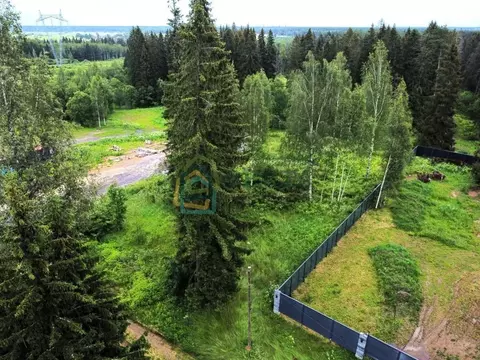 Участок в Ленинградская область, Гатчинский район, д. Мельница ...