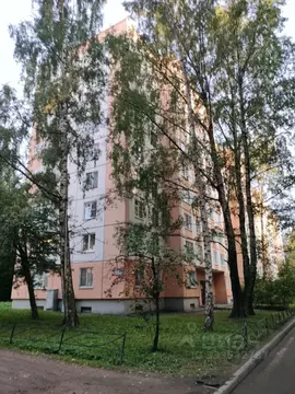 4-к кв. Санкт-Петербург Учительская ул., 19К2 (87.8 м)