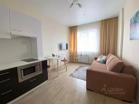 Студия Новосибирская область, Новосибирск ул. Сакко и Ванцетти, 77 ...