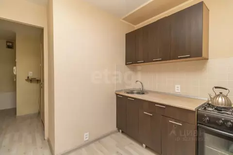 1-к кв. Челябинская область, Челябинск ул. Энгельса, 34 (30.7 м)