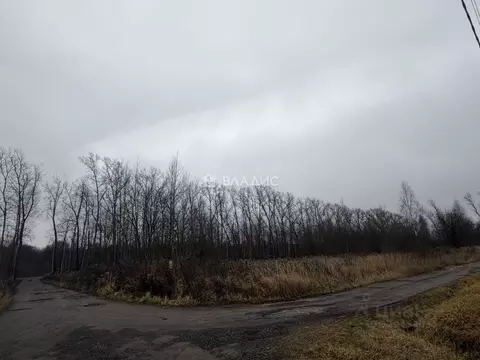 Участок в Московская область, Раменский муниципальный округ, с. ...