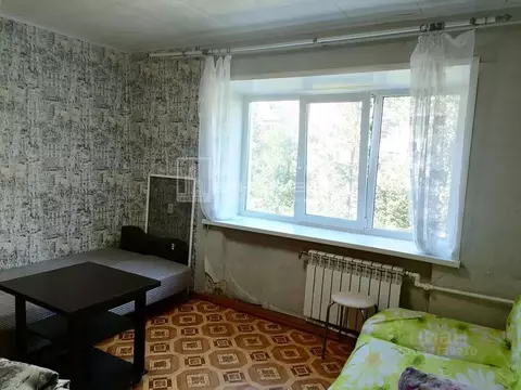 Студия Владимирская область, Ковров Сосновая ул., 15/2 (19.0 м)
