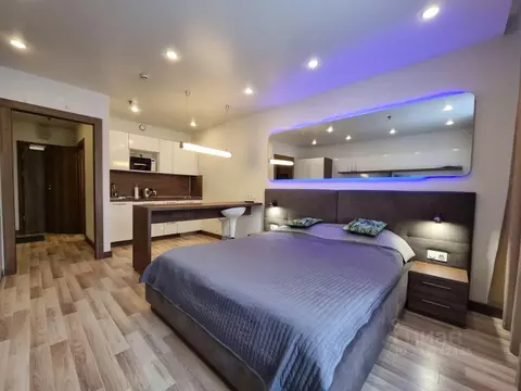 Студия Санкт-Петербург ул. Хошимина, 16А (28.0 м)