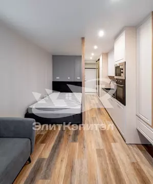 Студия Москва Газгольдерная ул., 10 (24.0 м)