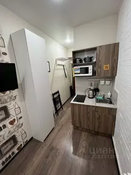 Студия Санкт-Петербург Лиговский просп., 110 (17.0 м)