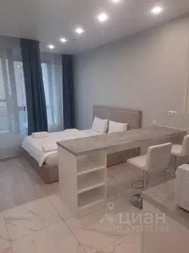 Студия Москва Ходынский бул., 20А (33.0 м)