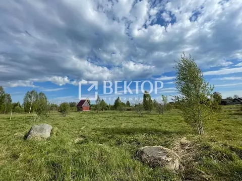 Участок в Костромская область, Костромской район, Самсоновское с/пос, ...