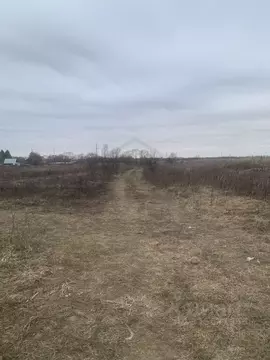 Участок в Калужская область, Перемышльский район, Большие Козлы с/пос, ...