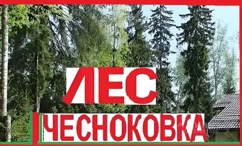 Участок в Башкортостан, Уфа Чесноковский мкр,  (351.0 сот.)