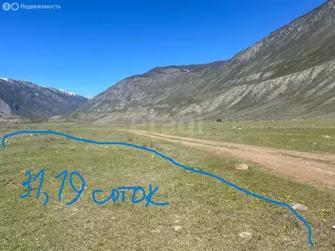 Участок в Улаганский район, село Чибит (31.19 м)